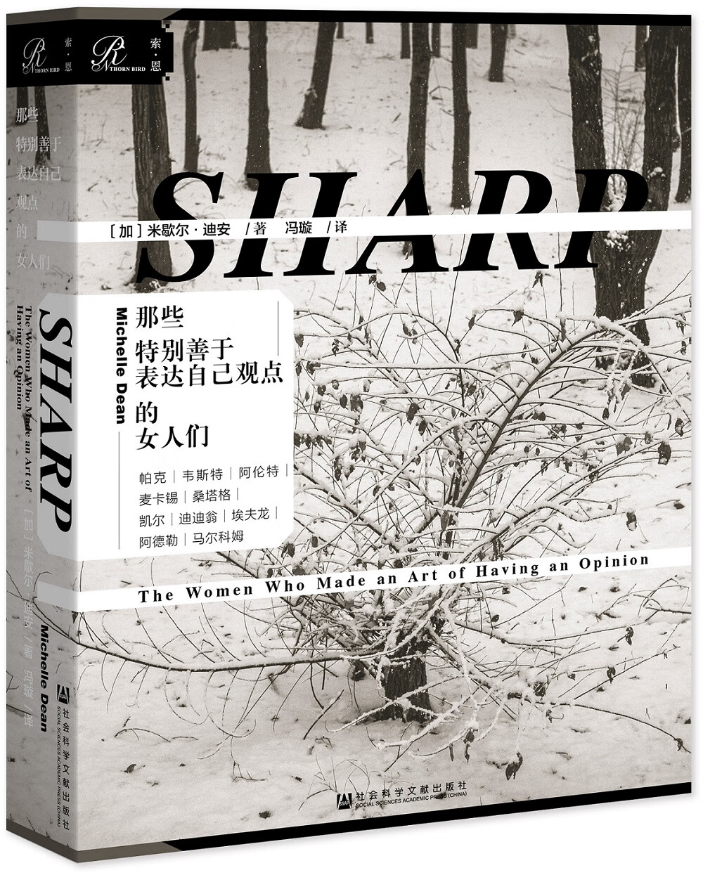 索恩丛书·那些特别善于表达自己观点的女人们