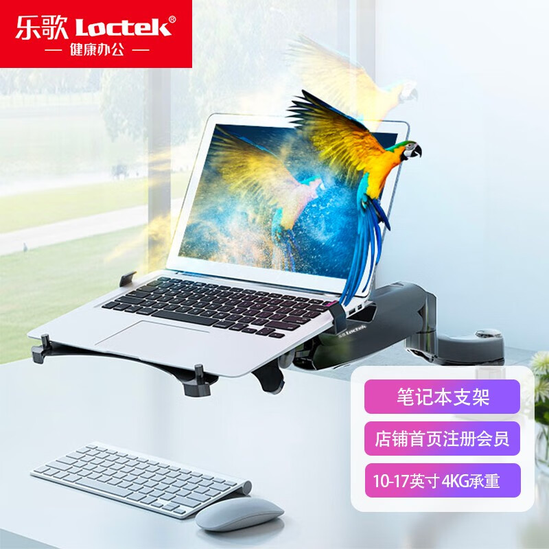 乐歌（Loctek）笔记本支架 平板电脑支架 旋转升降气压办公增高桌面支架（适用10-17英寸）D5F