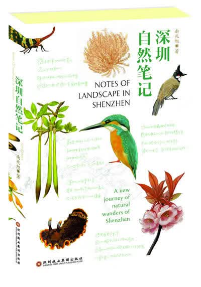 深圳自然笔记