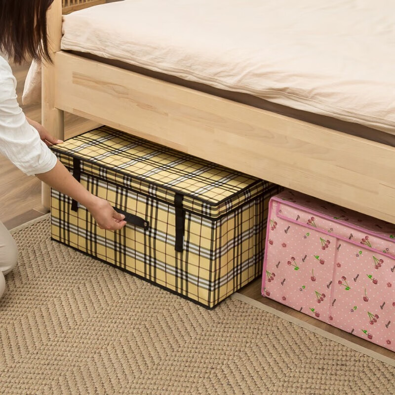 派代收纳箱，高品质低价格，价格走势分析|收纳箱历史低价查询