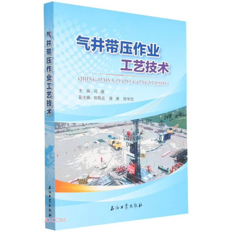 气井带压作业工艺技术