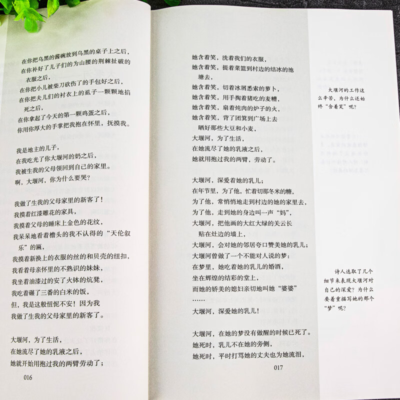 人民教育出版社艾青诗选水浒传原著正版九年级上册无删减人教版初三语文课外阅读丛书青少年读物书籍 人教版水浒传