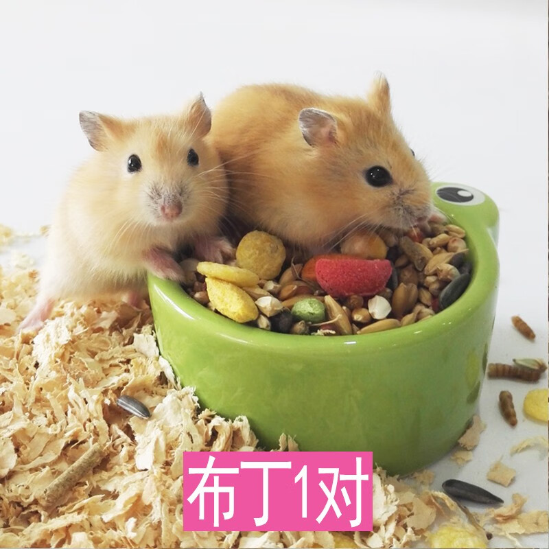 怎么看异宠活体物品的历史价格|异宠活体价格走势图