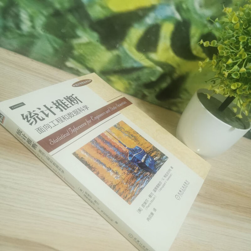 统计推断：面向工程和数据科学详情图
