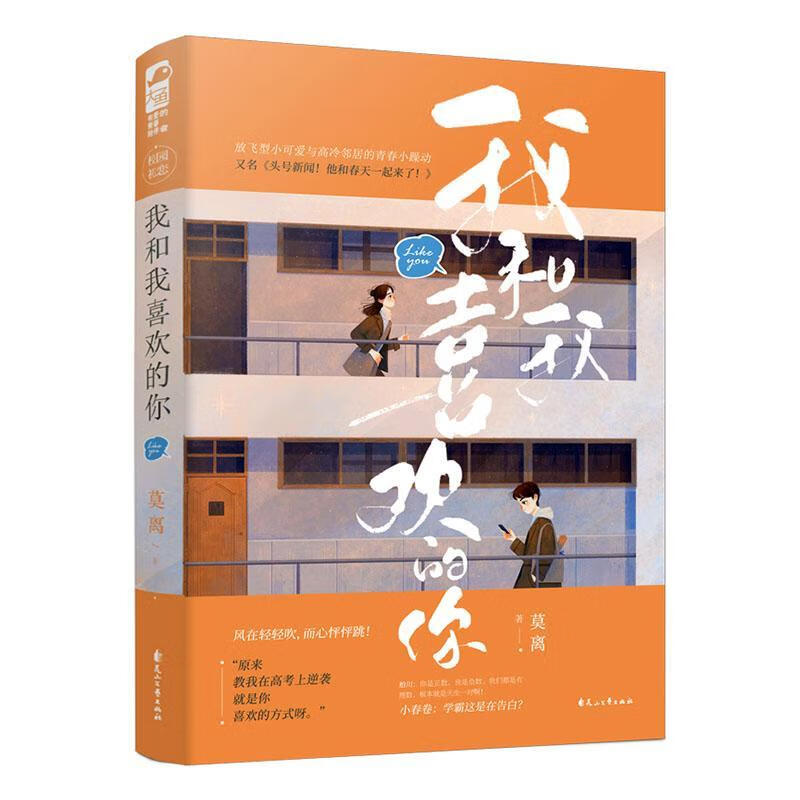 我和我喜欢的你青春文学 图书
