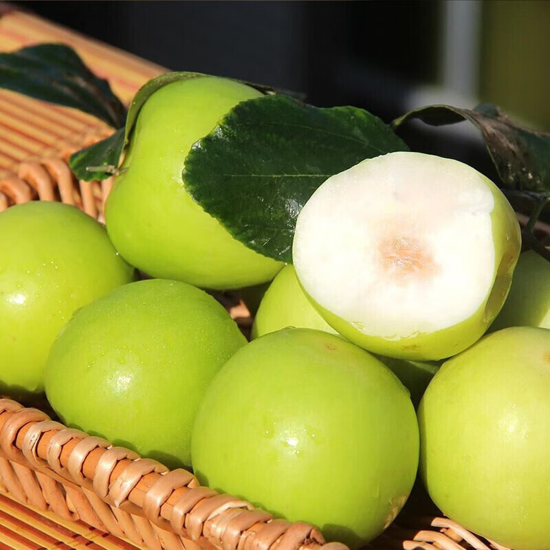 【现货】牛奶冬枣 青枣冬枣 现摘现发 新鲜水果 冬枣 净重2.5kg