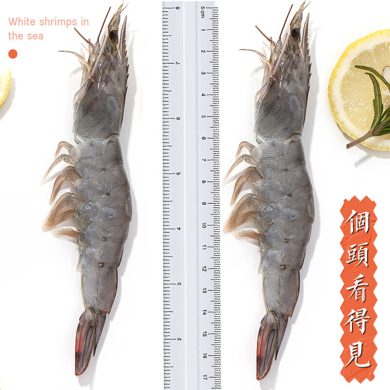 速鲜虾新鲜大虾盐冻鲜活超大青鲜虾海虾基围虾白虾净重 3040虾净重1斤(3份默认发一盒)