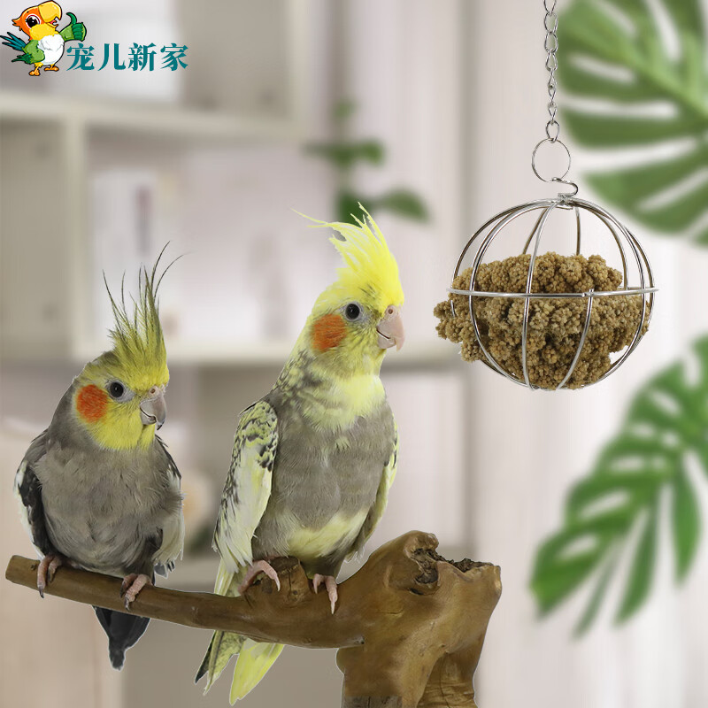 宠儿新家鹦鹉觅食球 鹦鹉玩具 啃咬 鸟玩具 训练益智玩具鸟笼配件