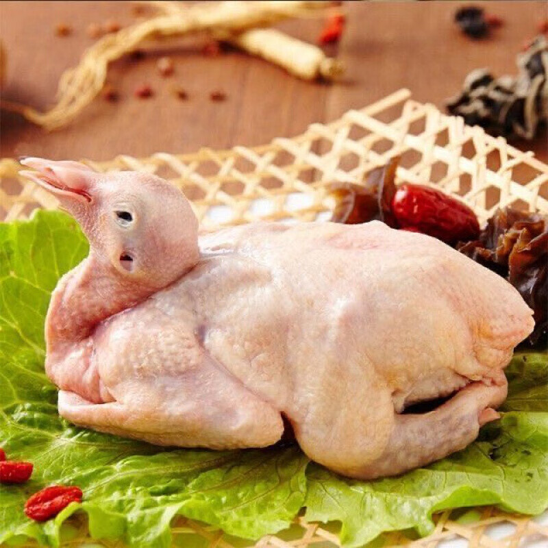 伯贤新鲜乳鸽1/2/3只装鸽子肉农家老鸽子现杀生鲜450g左右一只 1只