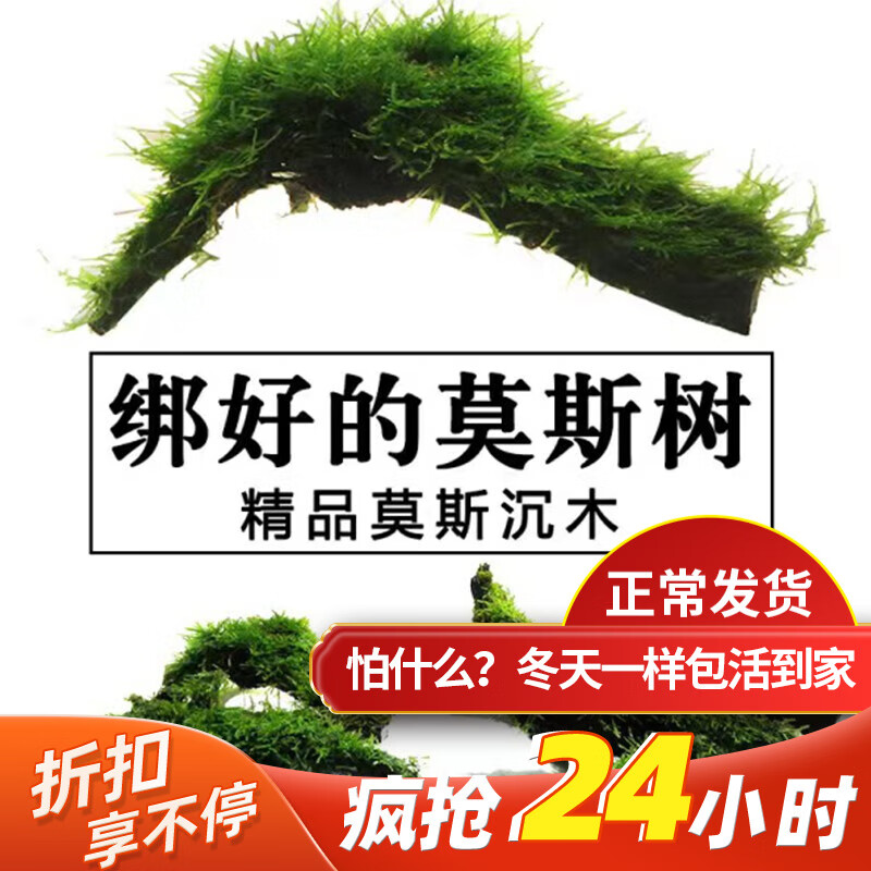 水草历史价格最低点|水草价格走势图