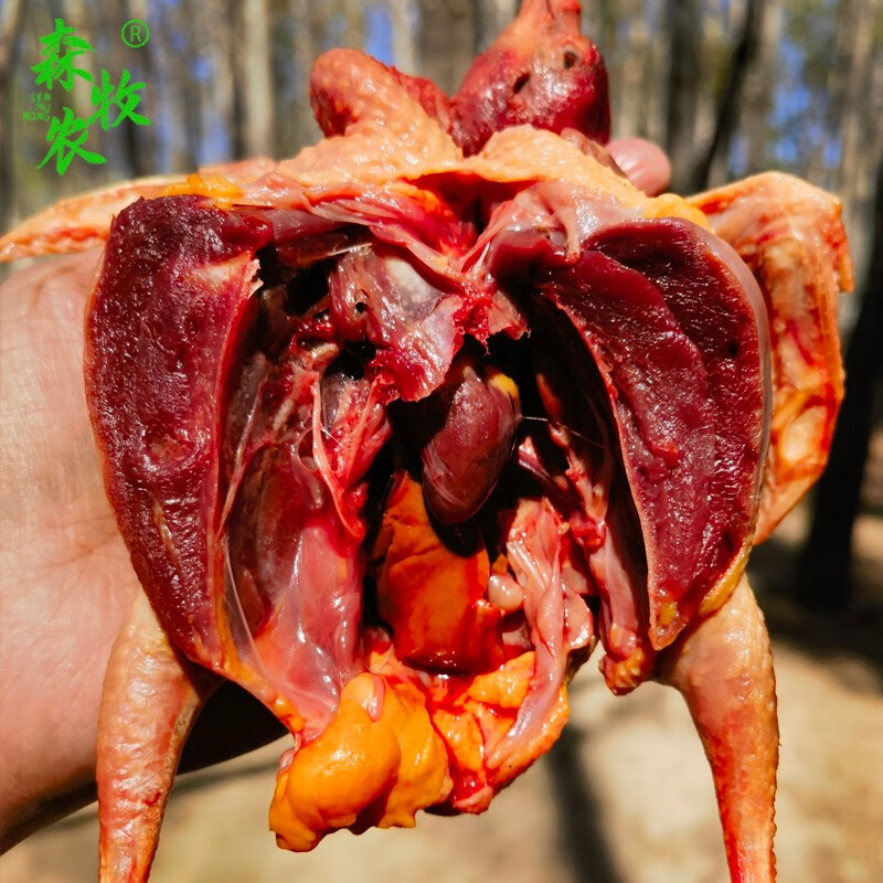 森牧农土鸽 散养4年左右老鸽子农村柴鸽带内脏煲汤鸽子农家鸽子肉 3只