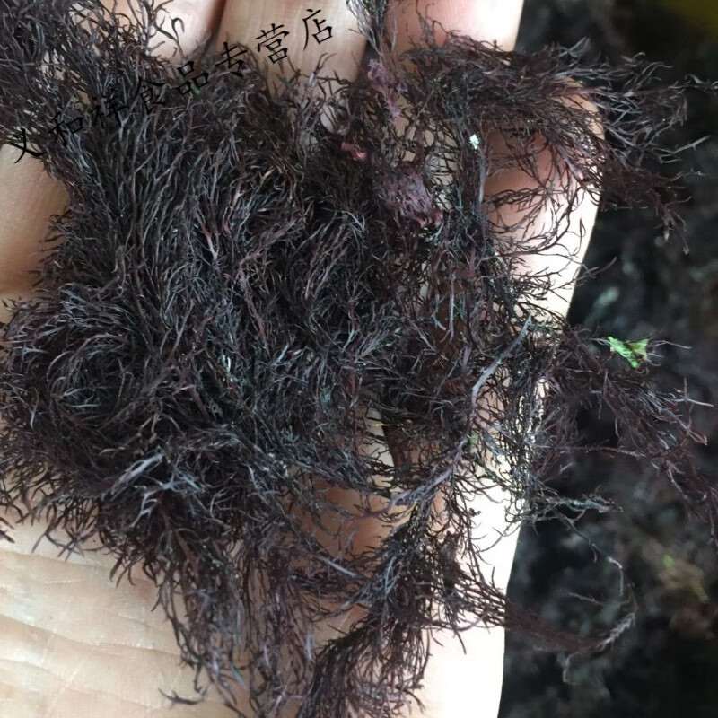 石花菜海凉粉冻菜海藻干货蒿子冻琼脂牛毛菜石花膏四果汤 250克