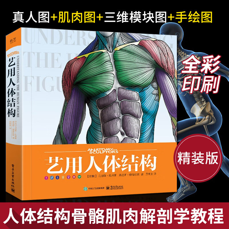 艺用人体结构解剖 精装版全彩 理解人体形态人体结构骨骼肌肉造型解剖学基础教程 人体结构教学书