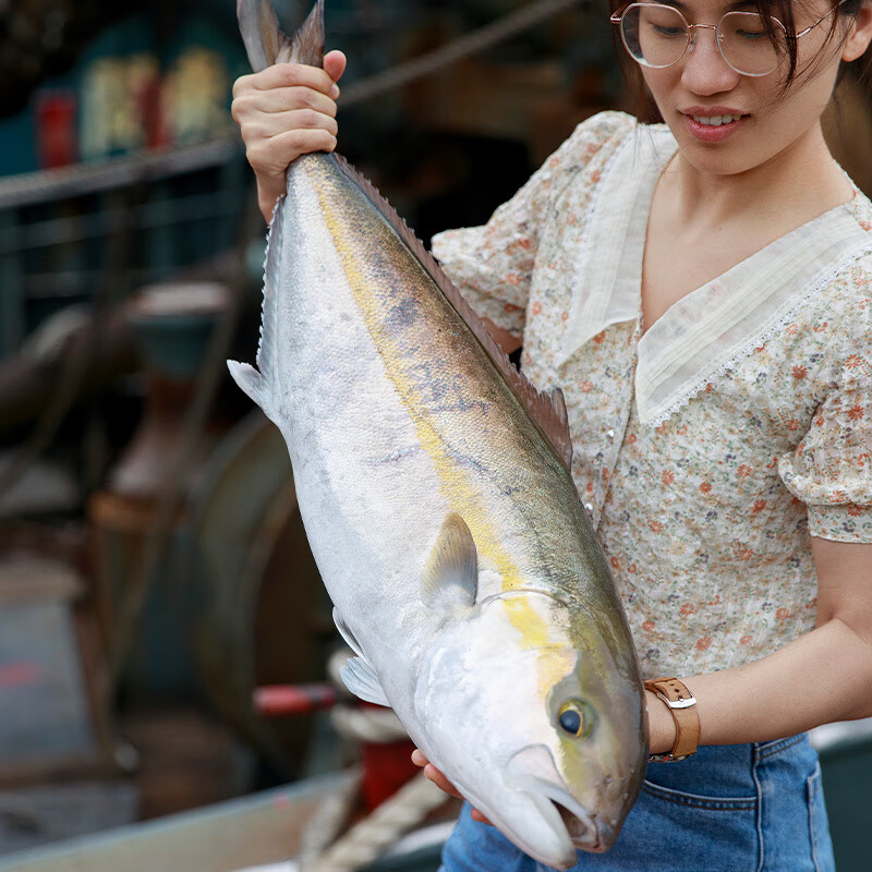 鲜可居 养殖章红 冰鲜红甘鱼 鲜活杜氏鰤 红甘鲹 红魽 已放血 刺身