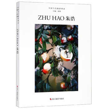 朱浩 中国当代摄影图录