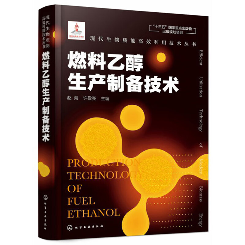 现代生物质能高效利用技术丛书：燃料乙醇生产制备技术（精装）