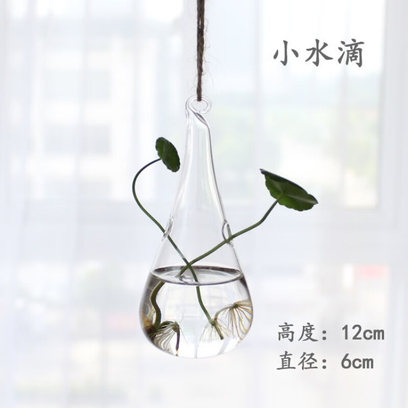 创意透明小号吊瓶水培植物花瓶室内家居装饰瓶小清新北极象 小水滴