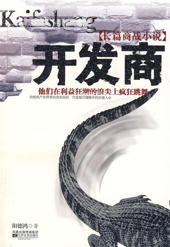 开发商 9787539927053