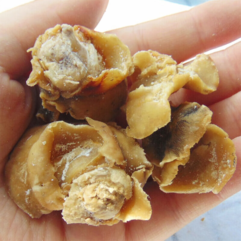 虎钢馋渔民自晒香螺肉干淡晒大海螺肉干响螺海鲜水产干货250g