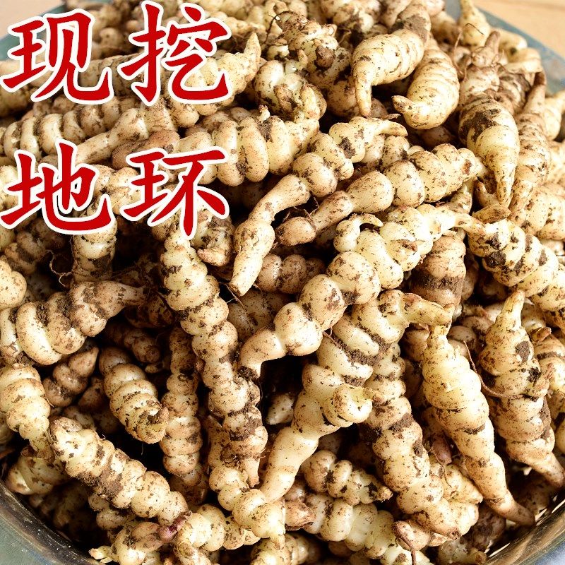螺丝菜宝塔菜新鲜蔬菜地蚕甘露子种植地坏菜 3斤现挖螺丝菜