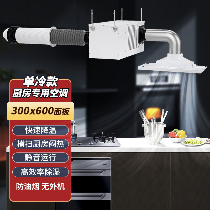 烈岩(lieyan) 厨房空调专用机吸顶式 厨房专用嵌入式空调制冷吸顶集成