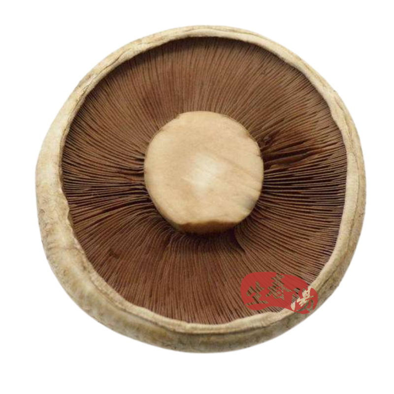 新鲜 500 大褐菇 7-10m 珍宝菇 鲜菌菇 新鲜蘑菇 汉堡香菇 高端食材