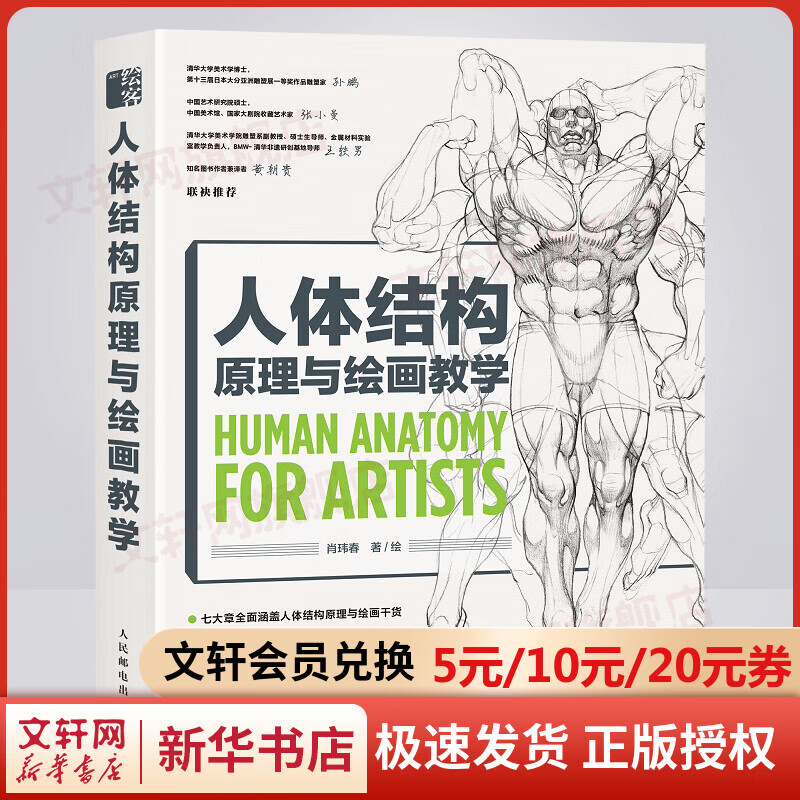 人体结构原理与绘画教学 画画的春哥肖玮春 人物结构造型绘画零基础入门 人体结构原理与绘画教学