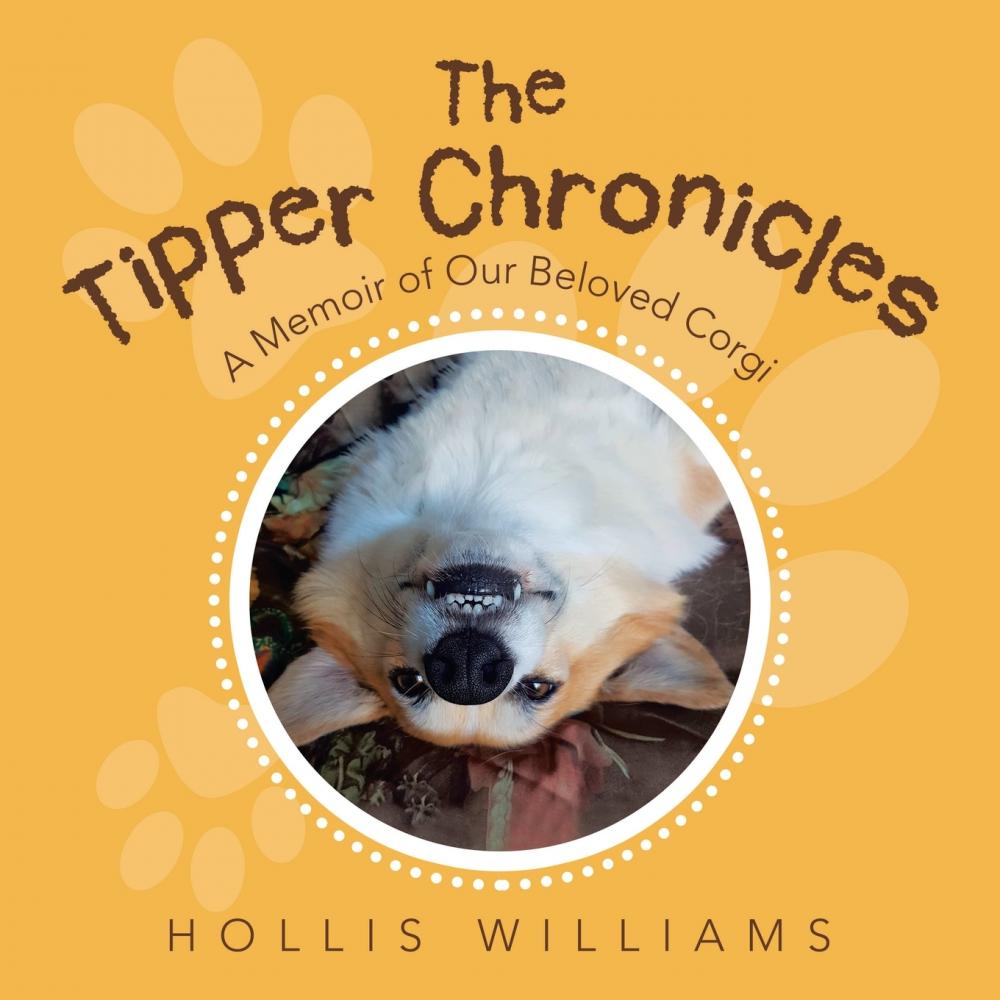 【预售 按需印刷】the tipper chronicles