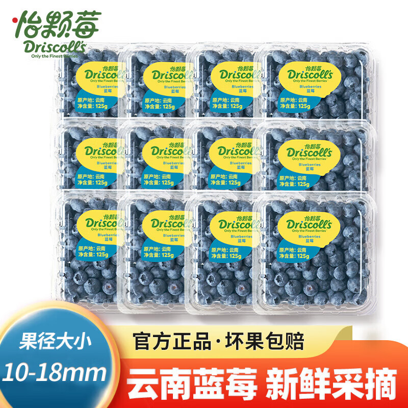 怡颗莓【当季限量】当季云南蓝莓 国产蓝莓水果 新鲜水果 中果12盒