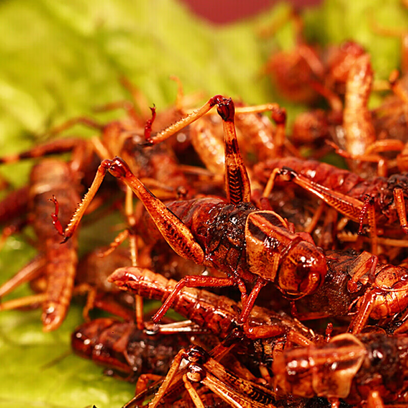 新鲜油炸蚂蚱即食烧烤香辣椒盐土特产养殖蝗虫美食小吃昆虫150g