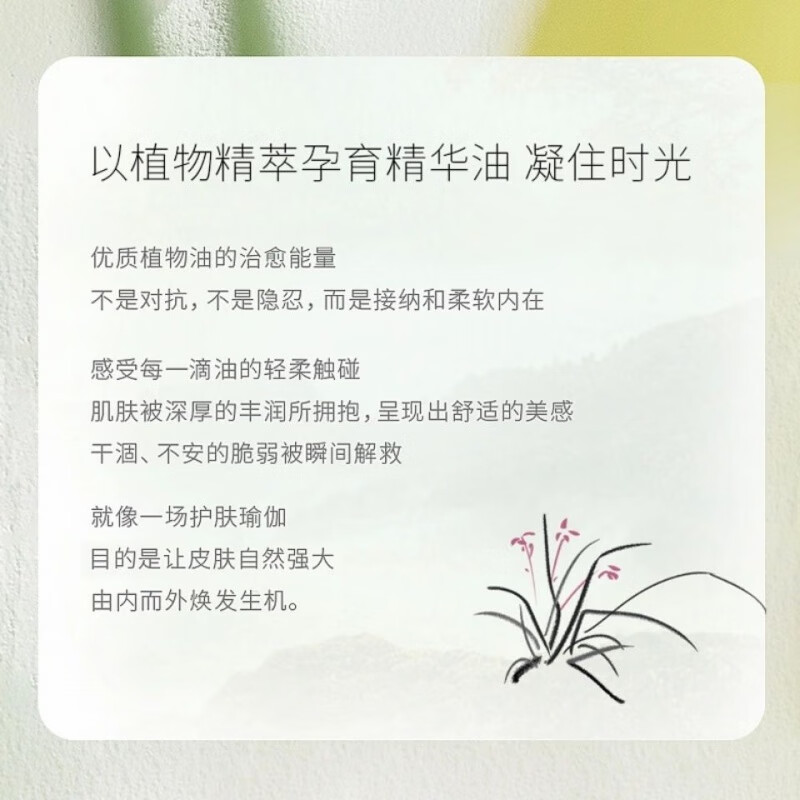 MKFD时光凝萃兰花精华油小分子润肤精油锁水保湿抗皱紧致舒缓肌肤 1瓶兰花油