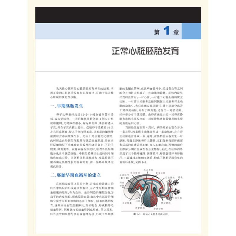 耿斌 张桂珍 临床实用胎儿超声心动图学书籍诊断实用指南产前诊断学
