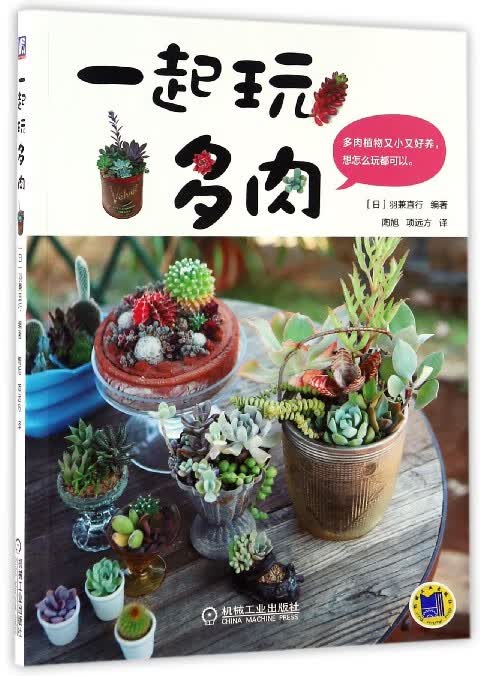 一起玩多肉