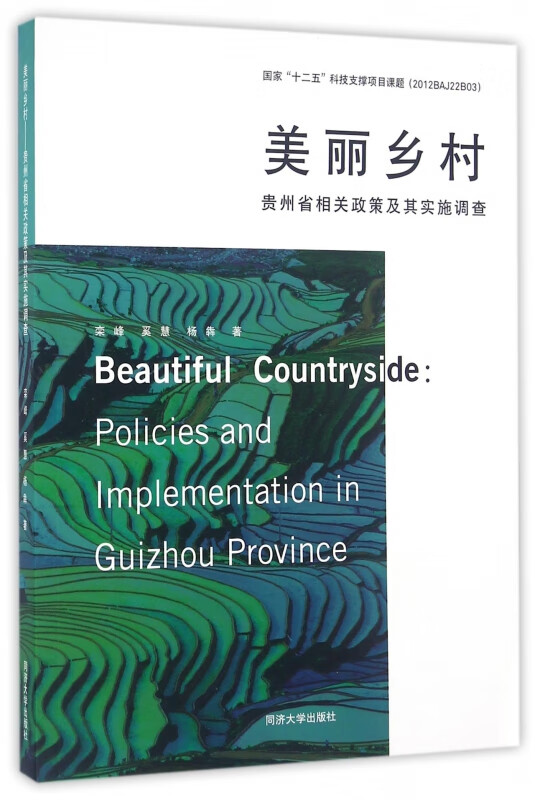 美丽乡村(贵州省相关政策及其实施调查)