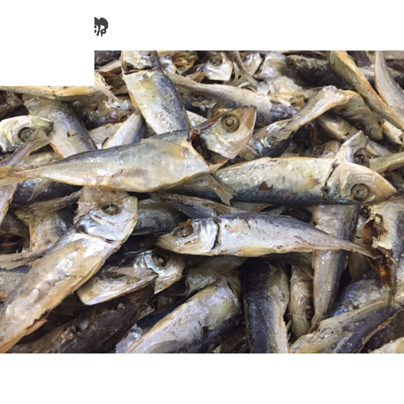 虎钢馋巴浪鱼干咸鱼干波浪鱼干海产干货 500克装