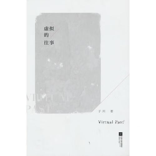 虚拟的往事9787539958484江苏文艺出版社