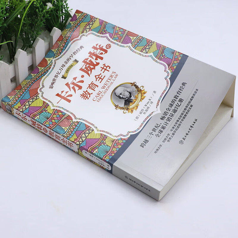 卡尔·威特的教育全书详情图