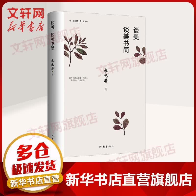 谈美 谈美书简