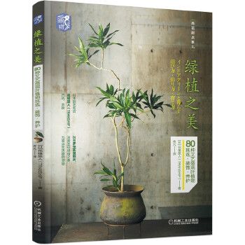 绿植之美:80种文艺感观叶植物挑选装饰养