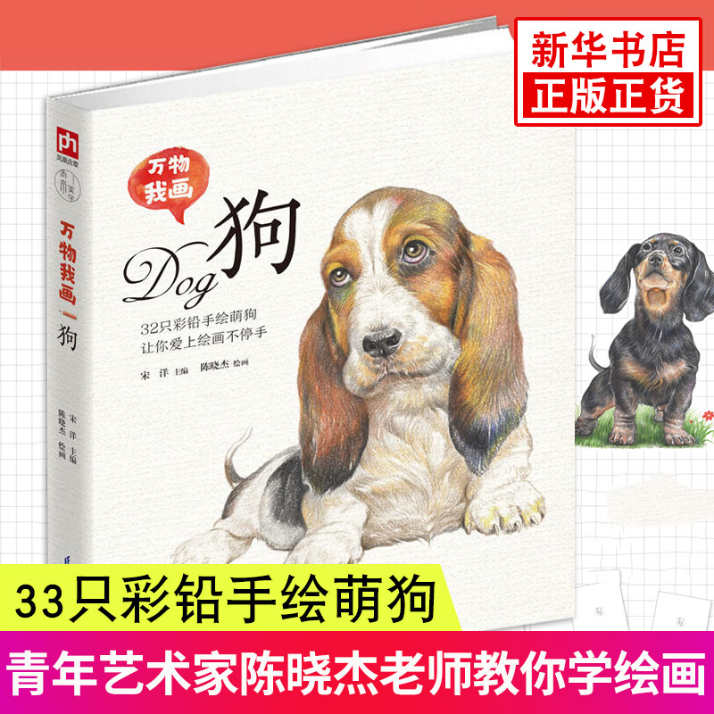艺术家陈晓杰老师手把手教你学绘画 33只彩铅手绘萌狗让你爱上绘画
