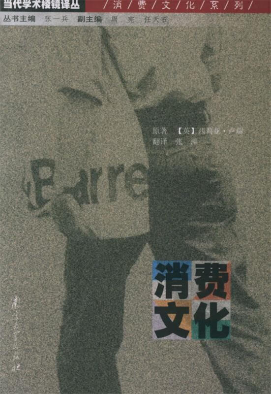 正版 消费文化—当代学术棱镜译丛 9787305040894 (英)卢瑞 著,张萍