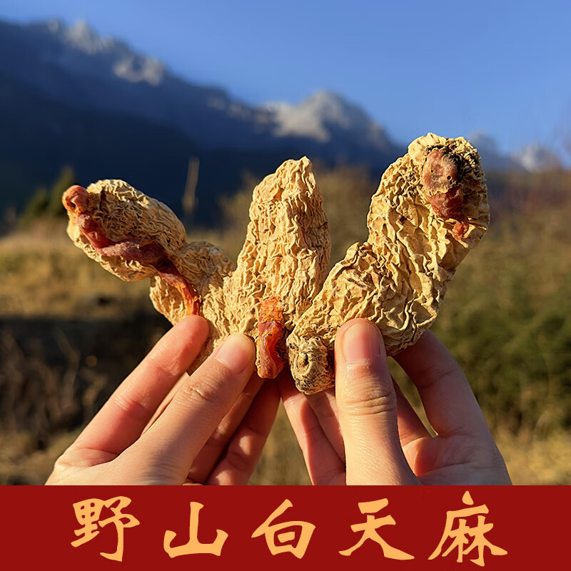 木阿汤 野山白天麻 云南特产香格里拉片昭通煲汤材料 250g