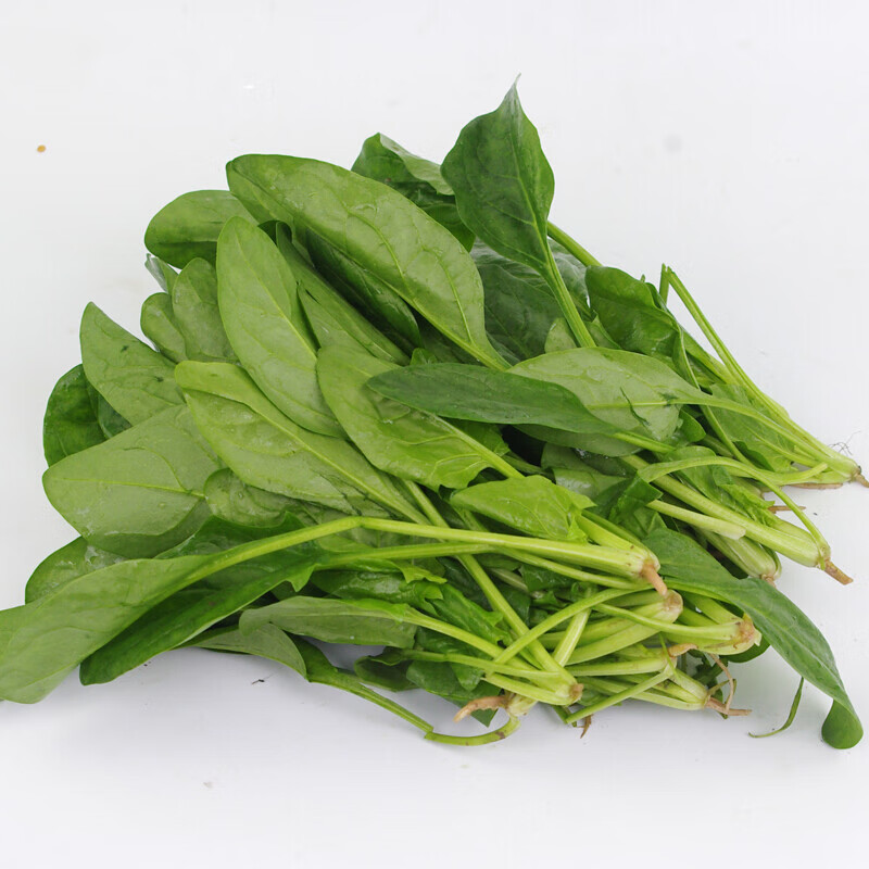 新鲜菠菜绿色蔬菜生鲜大叶菠菜配菜1000g