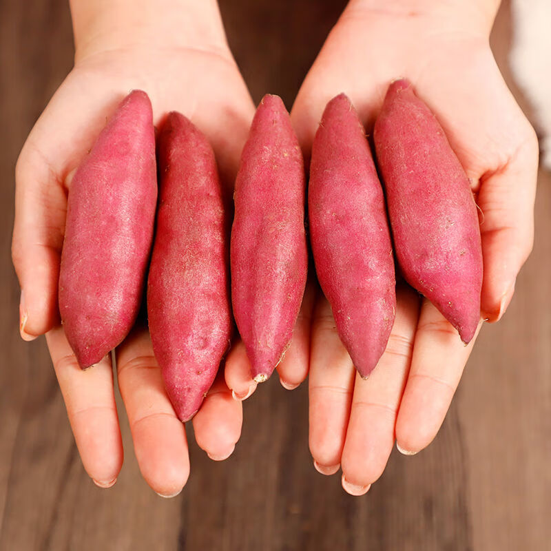 天目山小香薯5斤\/3斤手指迷你板栗地瓜山芋新鲜红薯 小香薯3斤(小个头)