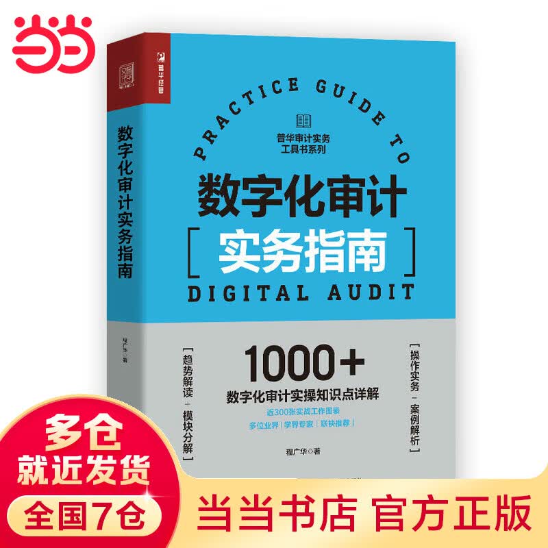 数字化审计实务指南