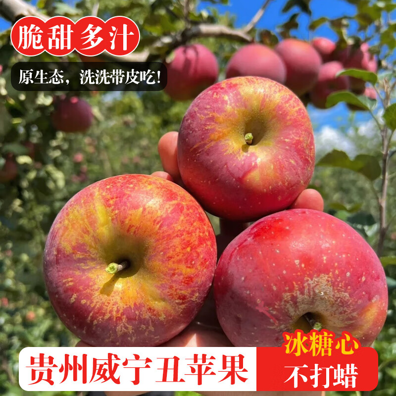 黔婆婆丑苹果糖心酥脆多汁应季新鲜苹果原生态种植水果供销助农批发 【果径70-80】净重4.5斤