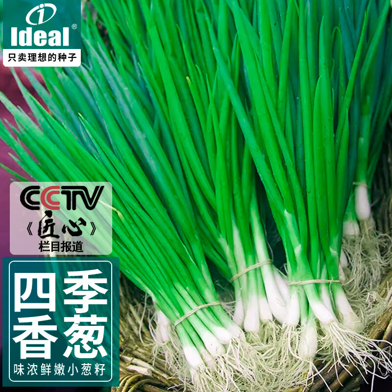 怎么查蔬菜种子种苗商品的历史价格|蔬菜种子种苗价格走势图