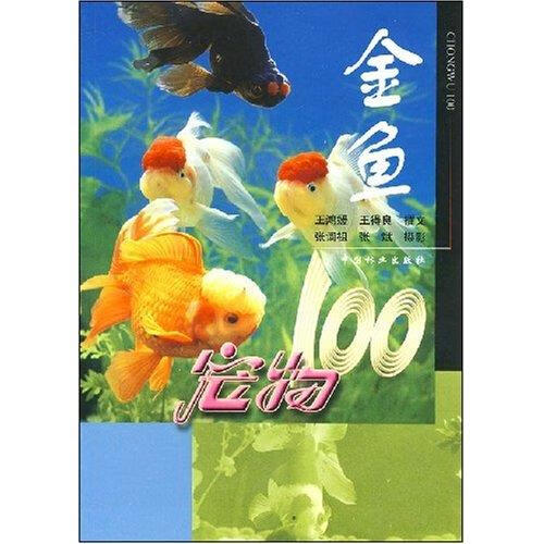 宠物100:金鱼 王鸿媛等 编【正版】