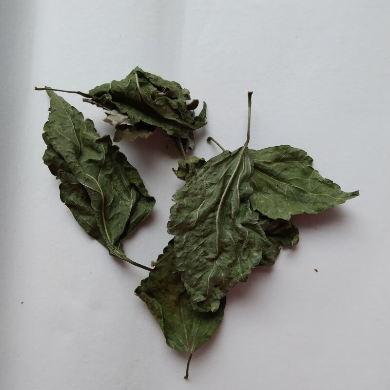 有仁堂 木槿叶木槿叶子 木槿叶洗头500克 木槿叶洗头包 木槿叶250克