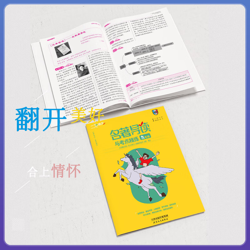 2026 一飞冲天初中语文数学英语物理专项训练七八九年级中考基础知识强化训练课内外文言文现代文阅读选择题与填空题阅读完形作文 2026【语文】九年级·名著导读